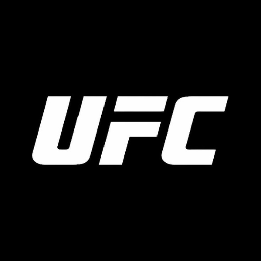UFC 333